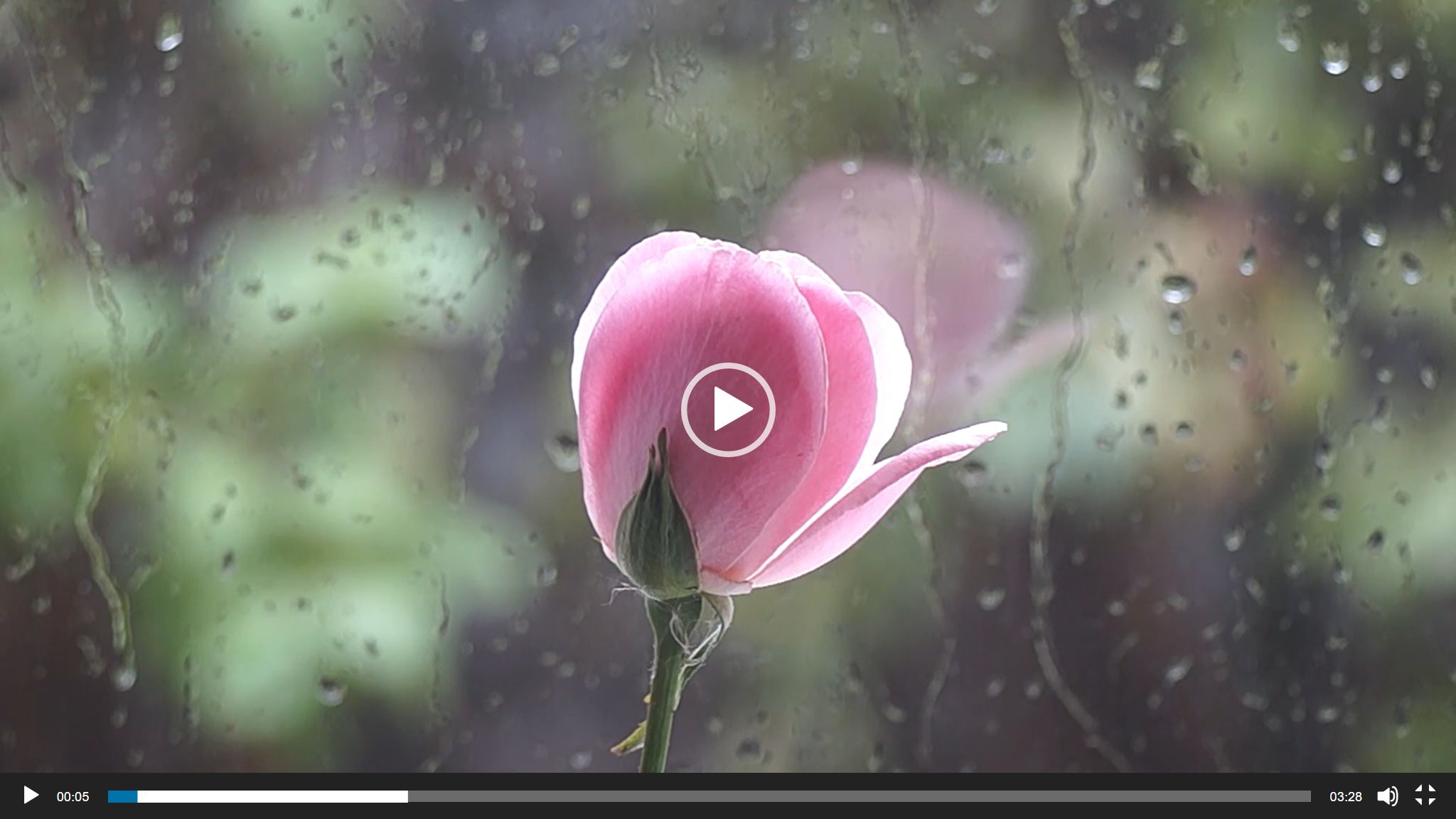 Rain on window